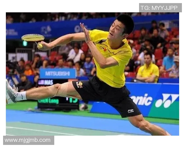 从零起步掌握羽毛球战术技巧全面指南助你成为场上高手