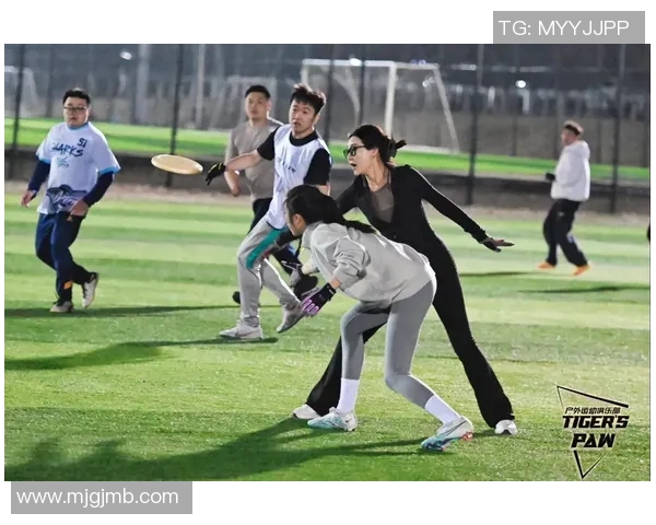 飞盘与滑板完美结合：精选滑板装备推荐指南助你畅玩飞盘运动